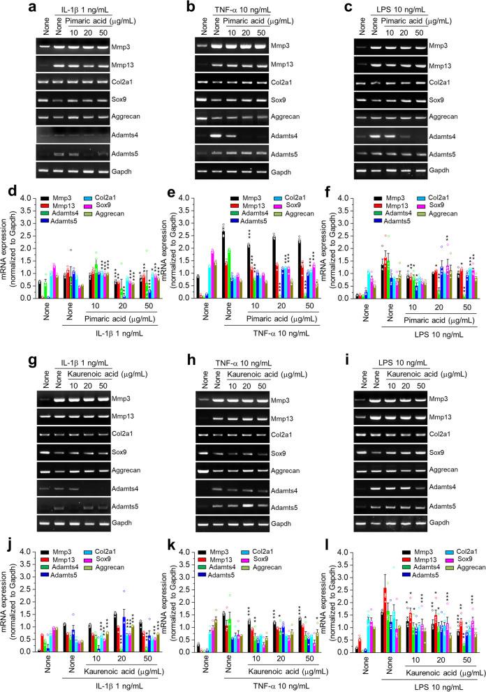 https://cdn.ncbi.nlm.nih.gov/pmc/blobs/0280/10763440/1ab7d0d8ddbf/13075_2023_3241_Fig7_HTML.jpg