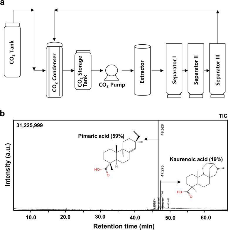 https://cdn.ncbi.nlm.nih.gov/pmc/blobs/0280/10763440/5f39a9944f09/13075_2023_3241_Fig1_HTML.jpg