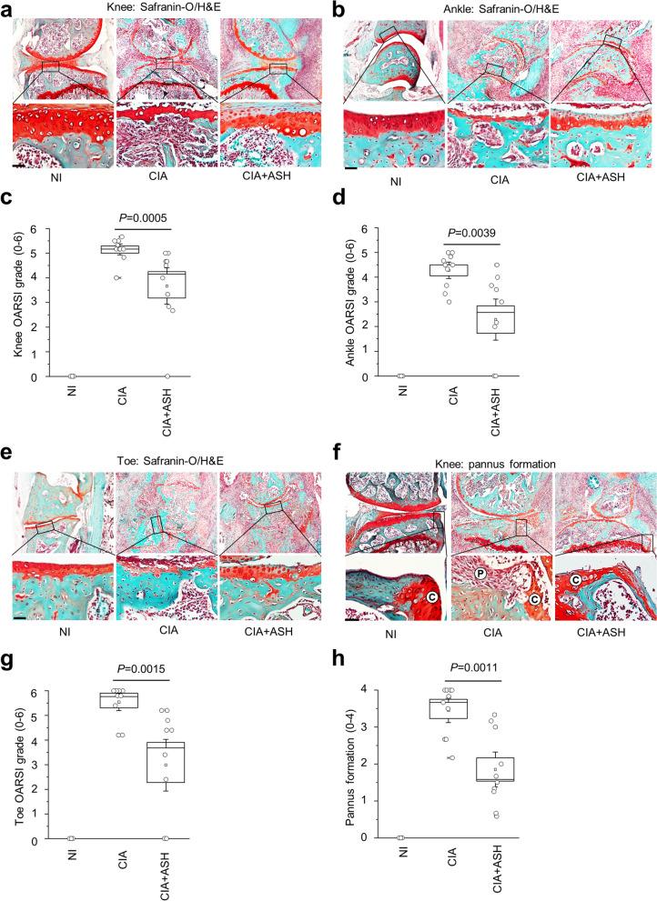 https://cdn.ncbi.nlm.nih.gov/pmc/blobs/0280/10763440/6342a265a184/13075_2023_3241_Fig3_HTML.jpg
