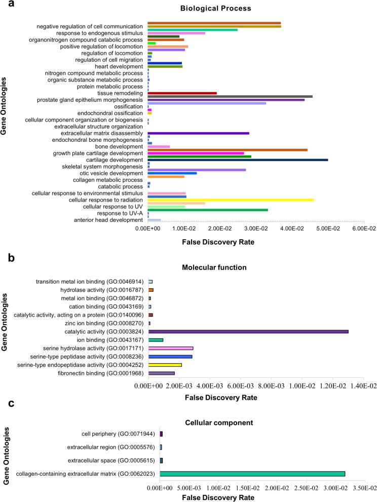 https://cdn.ncbi.nlm.nih.gov/pmc/blobs/0280/10763440/8836a1c892f1/13075_2023_3241_Fig9_HTML.jpg