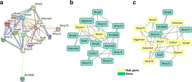 https://cdn.ncbi.nlm.nih.gov/pmc/blobs/0280/10763440/ab994859e37e/13075_2023_3241_Fig10_HTML.jpg