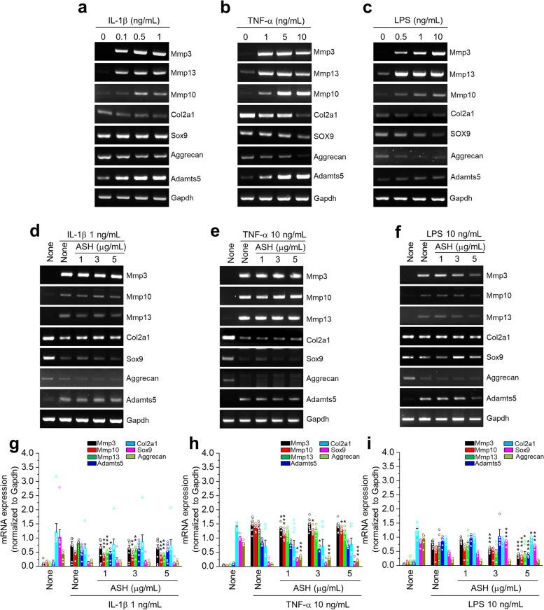 https://cdn.ncbi.nlm.nih.gov/pmc/blobs/0280/10763440/c933b12f2cdf/13075_2023_3241_Fig5_HTML.jpg