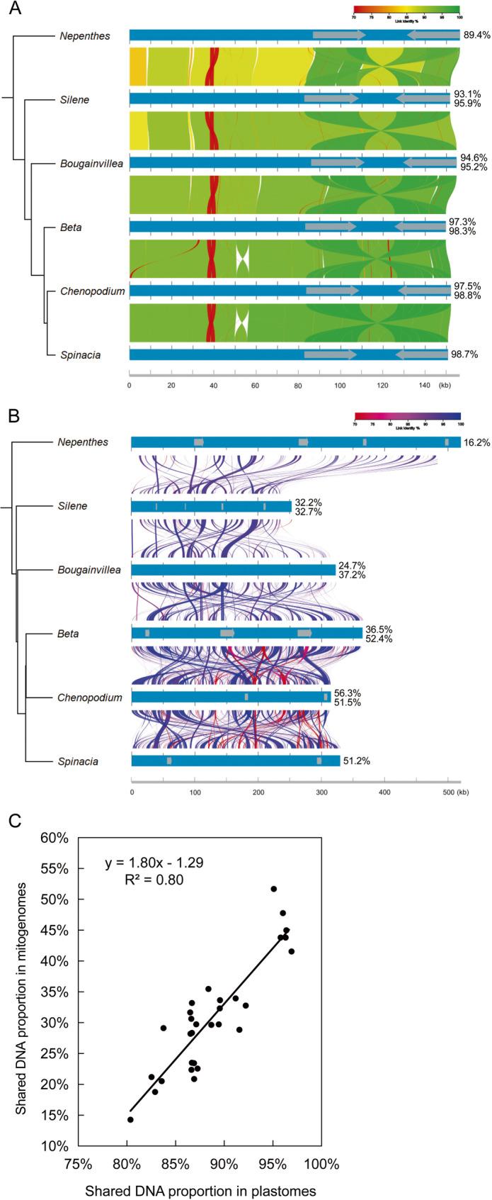 https://cdn.ncbi.nlm.nih.gov/pmc/blobs/0282/12323158/86be1e2cb28a/12864_2025_11891_Fig4_HTML.jpg