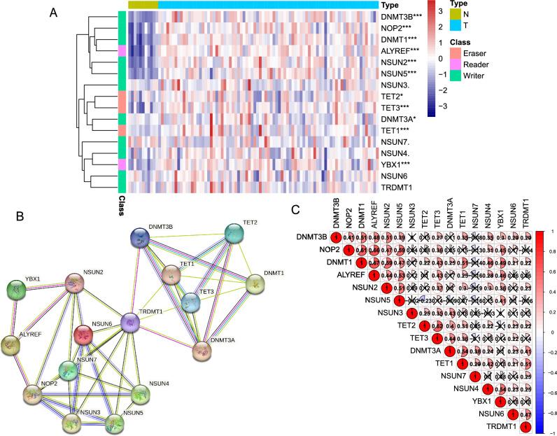 https://cdn.ncbi.nlm.nih.gov/pmc/blobs/0287/10477299/a347cb46633a/41598_2023_41495_Fig1_HTML.jpg
