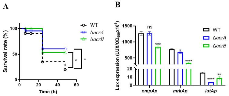 https://cdn.ncbi.nlm.nih.gov/pmc/blobs/0287/11672700/f9fb5f007bf7/antibiotics-13-01146-g006.jpg