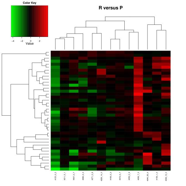 https://cdn.ncbi.nlm.nih.gov/pmc/blobs/0287/2785841/c1e9291a8b3b/1471-2164-10-544-4.jpg