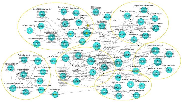 https://cdn.ncbi.nlm.nih.gov/pmc/blobs/028a/7602945/97349f11e7c4/genes-11-01216-g004.jpg