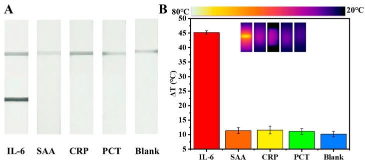 https://cdn.ncbi.nlm.nih.gov/pmc/blobs/028b/11313806/78d01719c9cc/molecules-29-03683-g005.jpg
