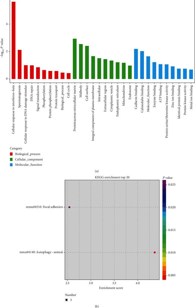 https://cdn.ncbi.nlm.nih.gov/pmc/blobs/028f/8105102/47fbe696bb32/SCI2021-8882264.008.jpg