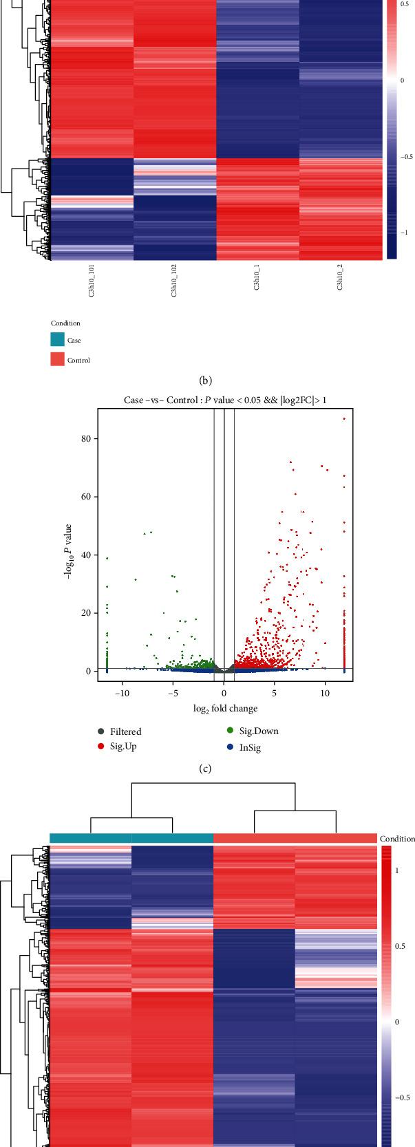 https://cdn.ncbi.nlm.nih.gov/pmc/blobs/028f/8105102/4a8eb8829b13/SCI2021-8882264.005.jpg