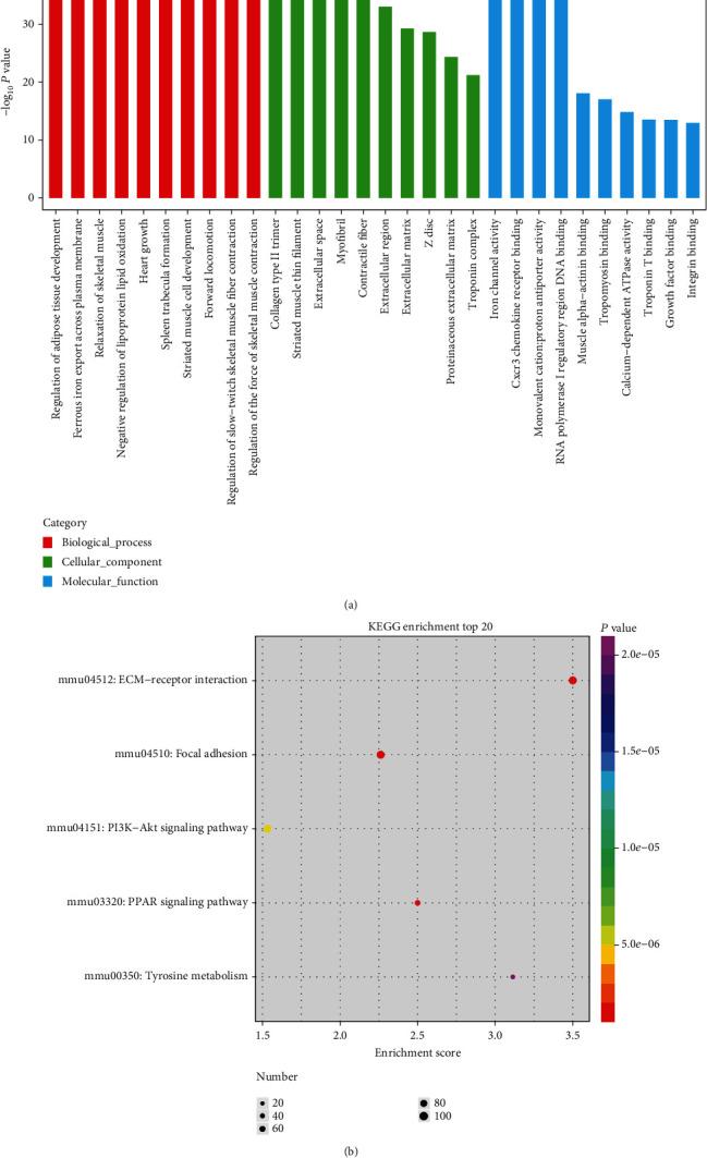 https://cdn.ncbi.nlm.nih.gov/pmc/blobs/028f/8105102/9ff20c39eea7/SCI2021-8882264.006.jpg