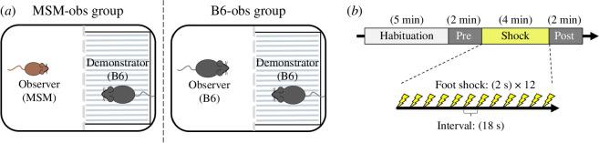 https://cdn.ncbi.nlm.nih.gov/pmc/blobs/0290/11631419/65f4e8109154/rspb.2024.1815.f001.jpg