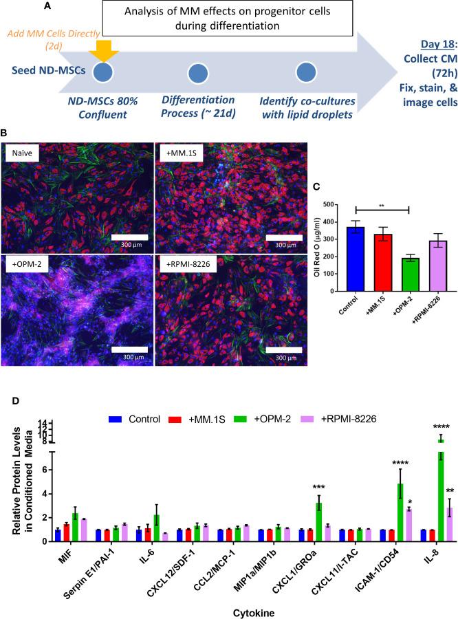 https://cdn.ncbi.nlm.nih.gov/pmc/blobs/0290/7930573/1916d47e58c1/fonc-10-584683-g009.jpg
