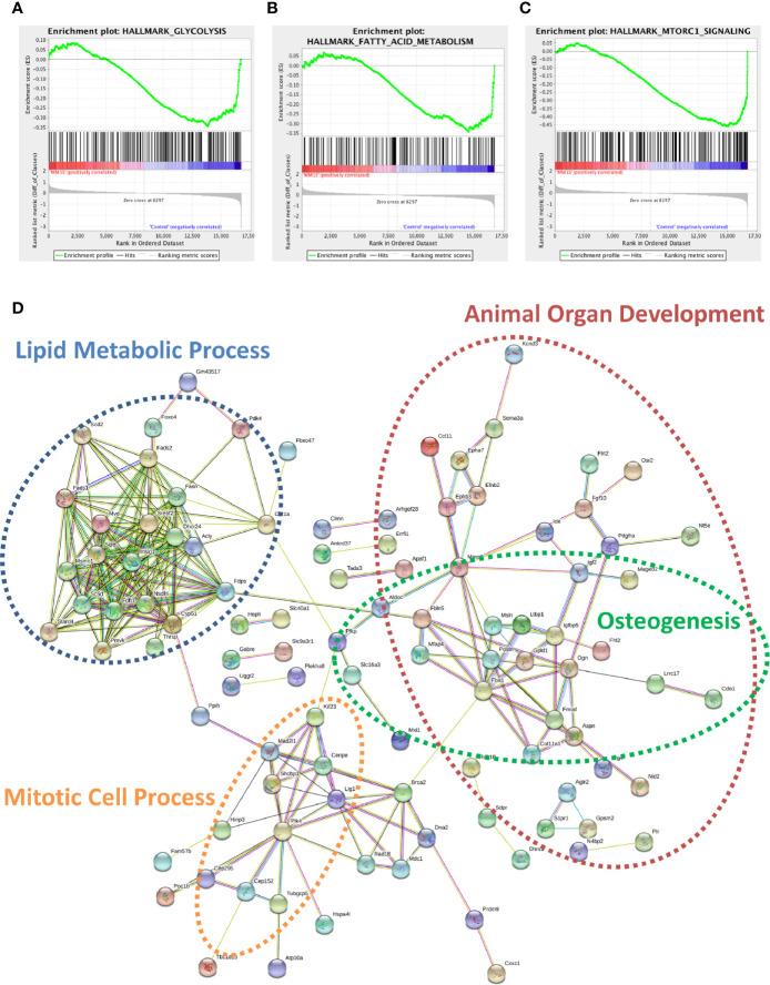 https://cdn.ncbi.nlm.nih.gov/pmc/blobs/0290/7930573/315d7debe8c5/fonc-10-584683-g006.jpg