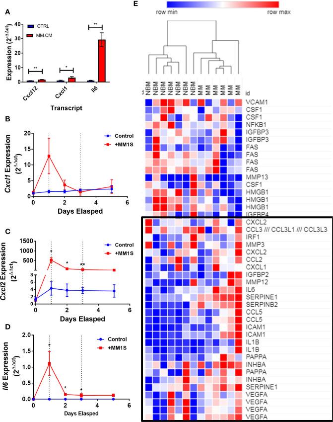 https://cdn.ncbi.nlm.nih.gov/pmc/blobs/0290/7930573/e9fd7225bbbb/fonc-10-584683-g008.jpg