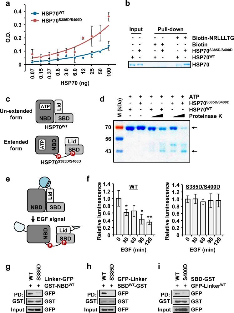 https://cdn.ncbi.nlm.nih.gov/pmc/blobs/0292/6802635/d9fd5690f9ea/12276_2019_317_Fig4_HTML.jpg
