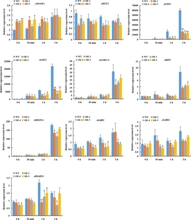 https://cdn.ncbi.nlm.nih.gov/pmc/blobs/0293/8602854/9dca3d8c24c6/fpls-12-707127-g009.jpg