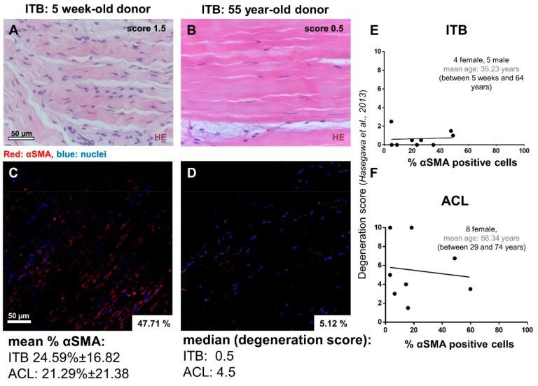 https://cdn.ncbi.nlm.nih.gov/pmc/blobs/0294/6514966/f024db3aa20e/ijms-20-01972-g002.jpg