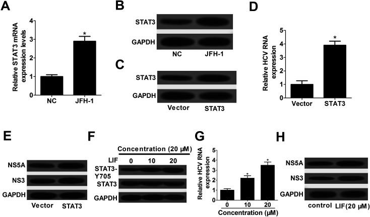 https://cdn.ncbi.nlm.nih.gov/pmc/blobs/0294/9078521/3406018795ae/c7ra12815k-f3.jpg