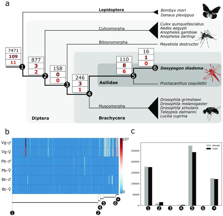 https://cdn.ncbi.nlm.nih.gov/pmc/blobs/0295/6615979/ef16ba909ff4/giz081fig3.jpg
