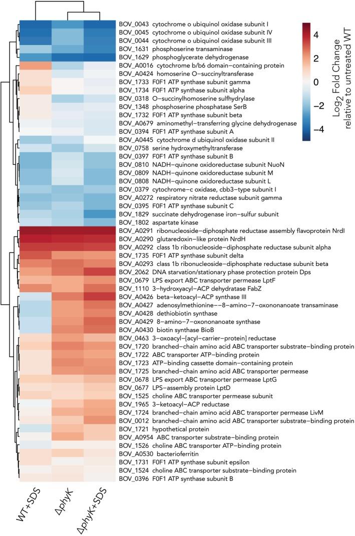 https://cdn.ncbi.nlm.nih.gov/pmc/blobs/0297/12423485/81fca0f980bd/MMI-124-245-g002.jpg