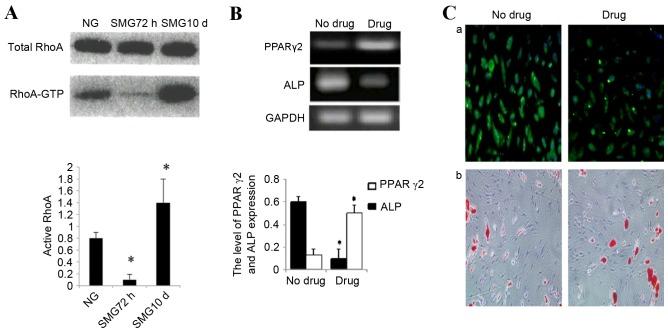 https://cdn.ncbi.nlm.nih.gov/pmc/blobs/0297/5428749/b7f60705dcd1/MMR-15-05-3011-g03.jpg