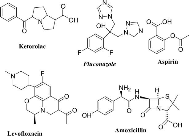 https://cdn.ncbi.nlm.nih.gov/pmc/blobs/0298/12012194/7ec2b8819fae/41598_2025_94808_Fig1_HTML.jpg