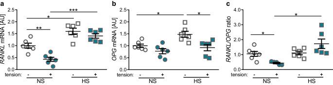 https://cdn.ncbi.nlm.nih.gov/pmc/blobs/0298/8494687/55d2d54bddb9/56_2020_232_Fig5_HTML.jpg