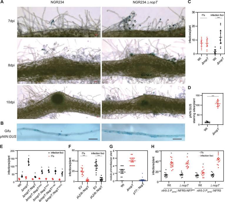https://cdn.ncbi.nlm.nih.gov/pmc/blobs/0299/11970910/2f3bde49a633/elife-97196-fig5.jpg