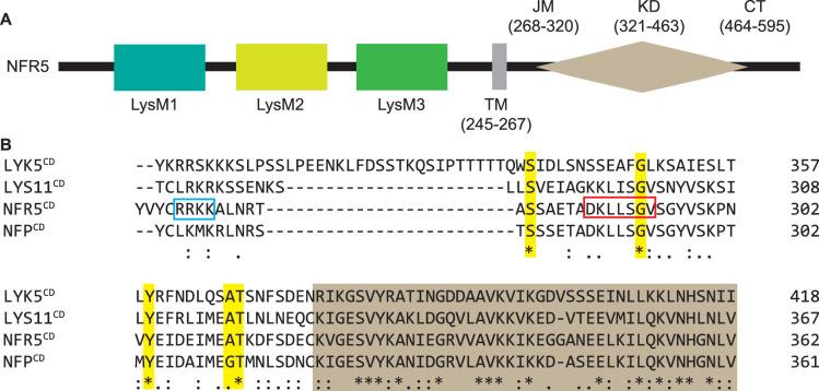 https://cdn.ncbi.nlm.nih.gov/pmc/blobs/0299/11970910/8e67d66e5ff1/elife-97196-fig3-figsupp3.jpg
