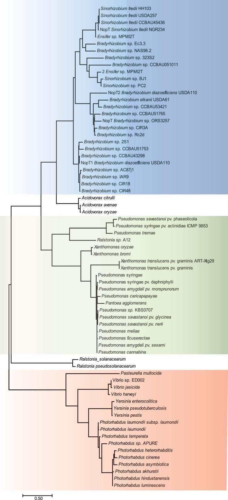 https://cdn.ncbi.nlm.nih.gov/pmc/blobs/0299/11970910/96406af21b12/elife-97196-fig6-figsupp1.jpg