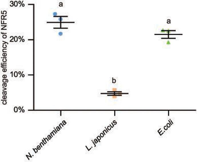 https://cdn.ncbi.nlm.nih.gov/pmc/blobs/0299/11970910/c8192b93f5cc/elife-97196-fig6-figsupp2.jpg