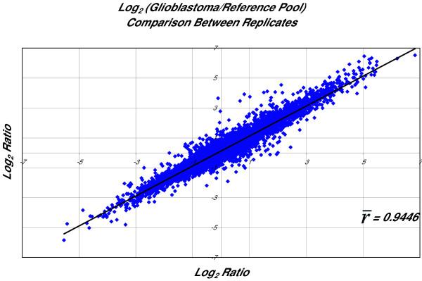 https://cdn.ncbi.nlm.nih.gov/pmc/blobs/029a/554769/2c7745b108dc/1471-2164-6-27-3.jpg