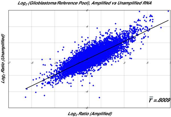 https://cdn.ncbi.nlm.nih.gov/pmc/blobs/029a/554769/95c50c208851/1471-2164-6-27-2.jpg
