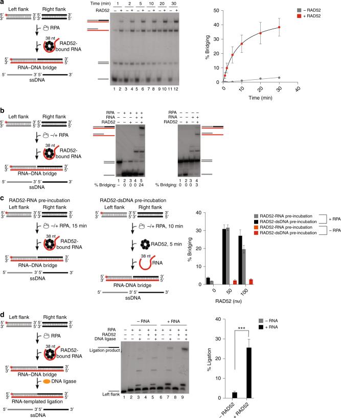 https://cdn.ncbi.nlm.nih.gov/pmc/blobs/029a/5854605/0fd1c976599e/41467_2018_3483_Fig4_HTML.jpg