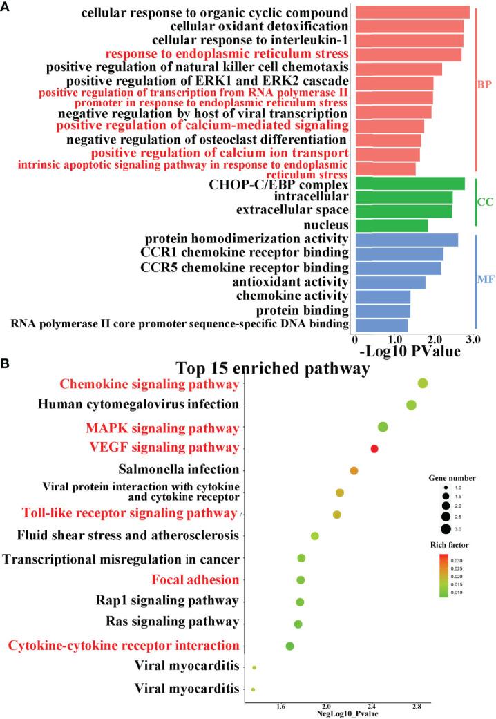 https://cdn.ncbi.nlm.nih.gov/pmc/blobs/029a/9027570/07d092cfbcc6/fendo-13-834187-g004.jpg