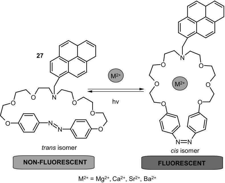 https://cdn.ncbi.nlm.nih.gov/pmc/blobs/029b/5845695/07e641898fcc/10847_2017_779_Fig18_HTML.jpg