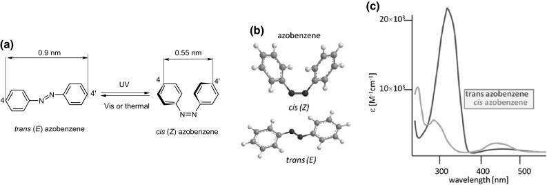 https://cdn.ncbi.nlm.nih.gov/pmc/blobs/029b/5845695/578571449fae/10847_2017_779_Fig2_HTML.jpg