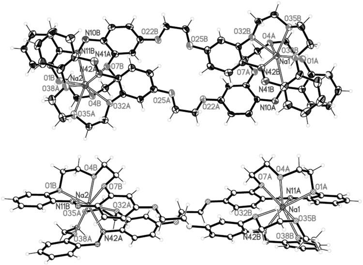 https://cdn.ncbi.nlm.nih.gov/pmc/blobs/029b/5845695/706a5f156ff4/10847_2017_779_Fig25_HTML.jpg