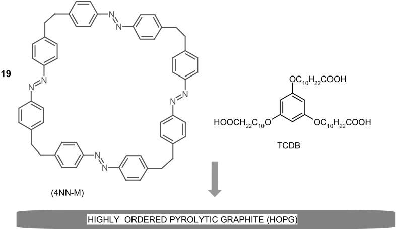 https://cdn.ncbi.nlm.nih.gov/pmc/blobs/029b/5845695/c960f3268b01/10847_2017_779_Fig14_HTML.jpg