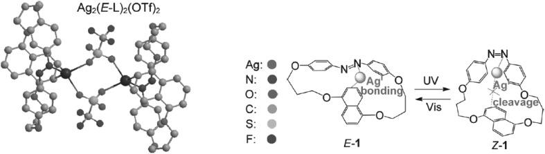 https://cdn.ncbi.nlm.nih.gov/pmc/blobs/029b/5845695/f397ad6d5982/10847_2017_779_Fig19_HTML.jpg