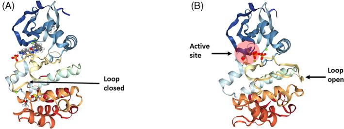 https://cdn.ncbi.nlm.nih.gov/pmc/blobs/029e/11294426/4fce66592288/CPR-57-e13641-g005.jpg