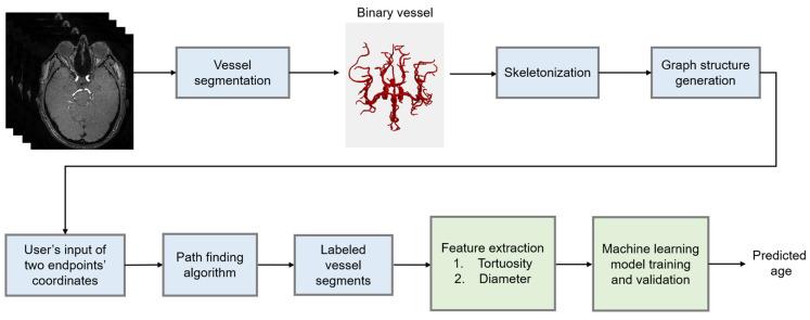 https://cdn.ncbi.nlm.nih.gov/pmc/blobs/029f/10669197/89412b094d51/brainsci-13-01512-g001.jpg