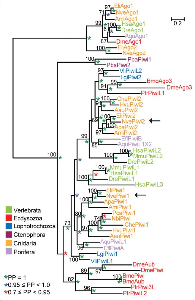 https://cdn.ncbi.nlm.nih.gov/pmc/blobs/02a0/5731801/aab8344c3206/krnb-14-12-1349048-g001.jpg
