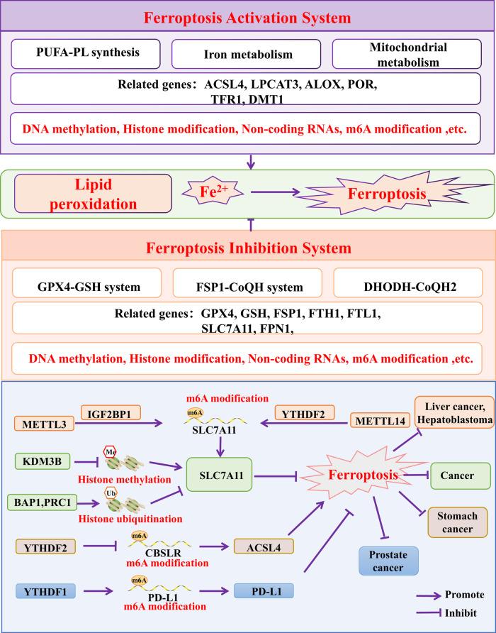 https://cdn.ncbi.nlm.nih.gov/pmc/blobs/02a1/11040947/28ec176f0bfb/13045_2024_1545_Fig3_HTML.jpg