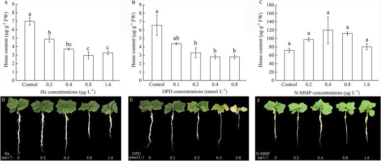 https://cdn.ncbi.nlm.nih.gov/pmc/blobs/02a2/9264505/44ee2c0e609a/12870_2022_3717_Fig1_HTML.jpg