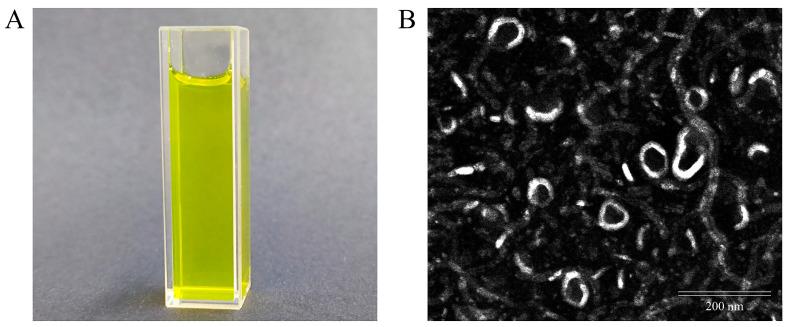 https://cdn.ncbi.nlm.nih.gov/pmc/blobs/02a4/10254180/df6789fd7dce/molecules-28-04353-g002.jpg