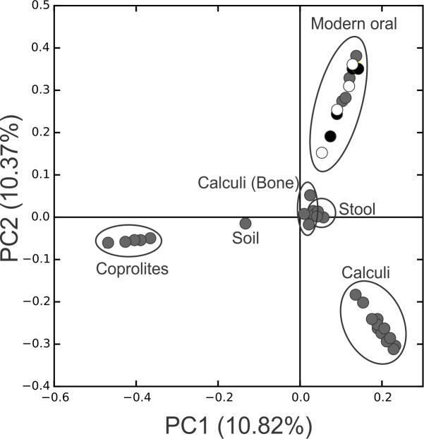 https://cdn.ncbi.nlm.nih.gov/pmc/blobs/02a4/5417066/7c5478b15f96/peerj-05-3277-g003.jpg