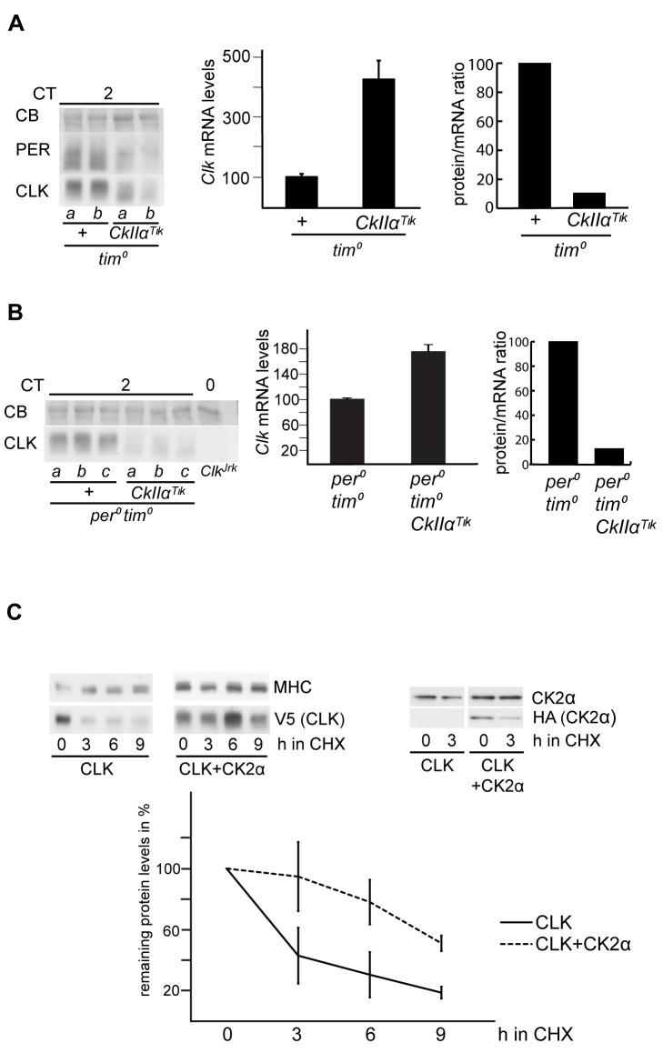 https://cdn.ncbi.nlm.nih.gov/pmc/blobs/02a5/3754892/bd77fe77c3bc/pbio.1001645.g002.jpg