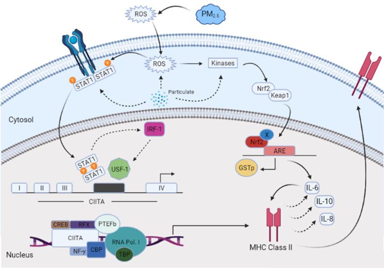 https://cdn.ncbi.nlm.nih.gov/pmc/blobs/02a7/11054084/6eea1ae1e531/toxics-12-00292-g002.jpg